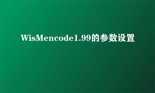 WisMencode1.99的参数设置