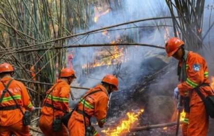 重庆7天10余起山火，该如何扑灭？