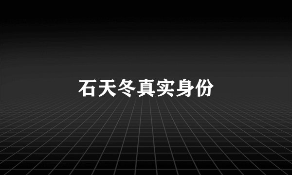 石天冬真实身份