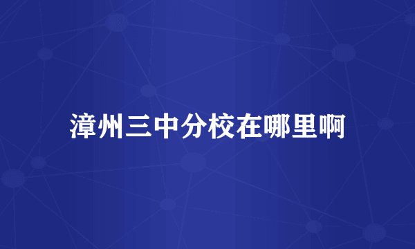 漳州三中分校在哪里啊