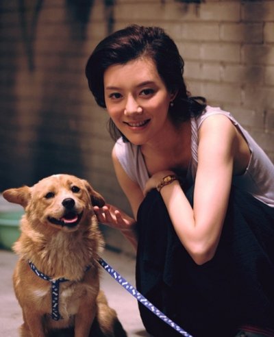 大男当婚电视剧结局