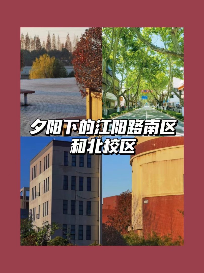 请问扬州大学的学院和专业如何划分的？