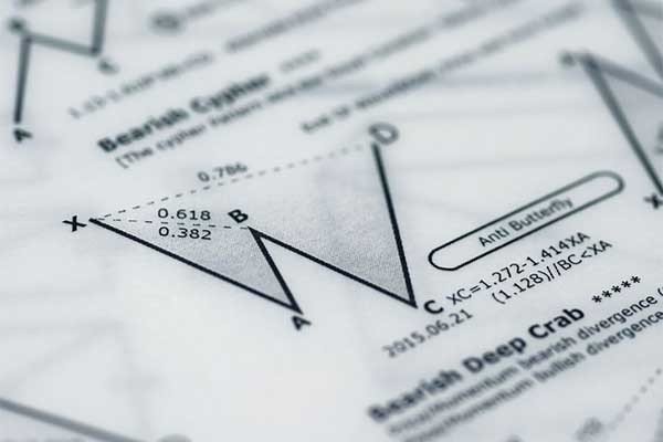 因数的定义是什么？