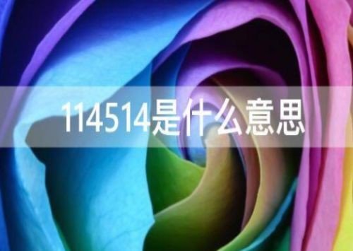 114514后面的数字