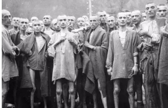 犹太人是什么人种?