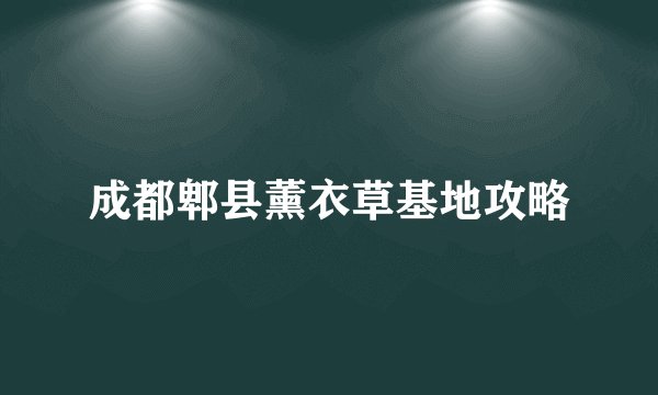成都郫县薰衣草基地攻略