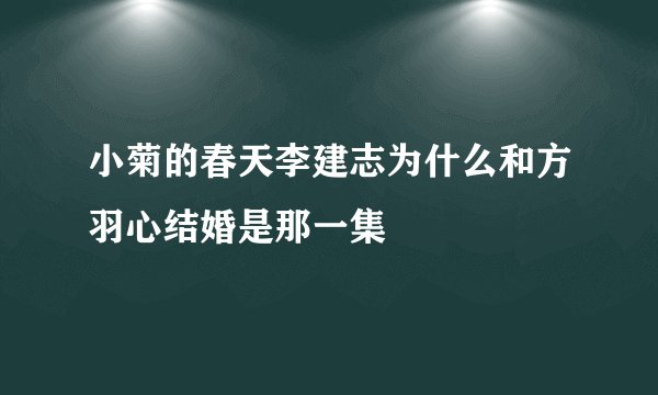 小菊的春天李建志为什么和方羽心结婚是那一集