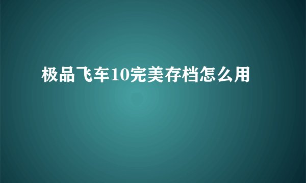 极品飞车10完美存档怎么用