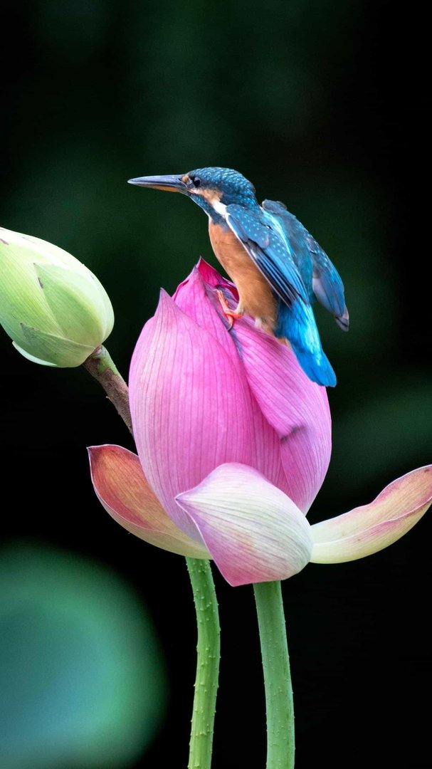 一丝两气猜一数字1－16之间为什么？