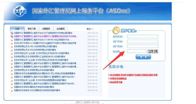 国家外汇管理局应用服务平台登录之后怎么操作？