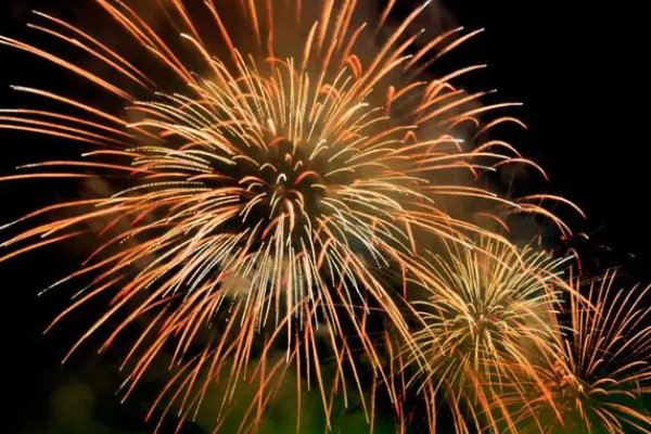 flip—flap的意思