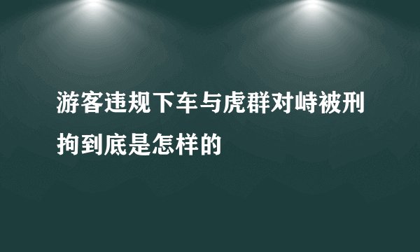 游客违规下车与虎群对峙被刑拘到底是怎样的
