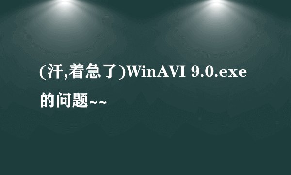 (汗,着急了)WinAVI 9.0.exe的问题~~