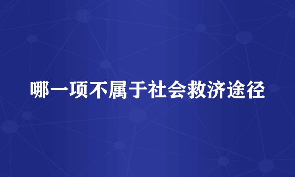 哪一项不属于社会救济途径
