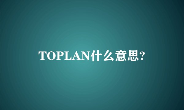 TOPLAN什么意思?