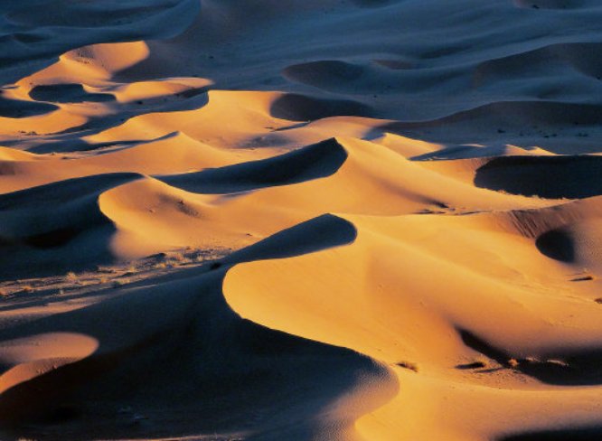 沙丘最后有彩蛋吗