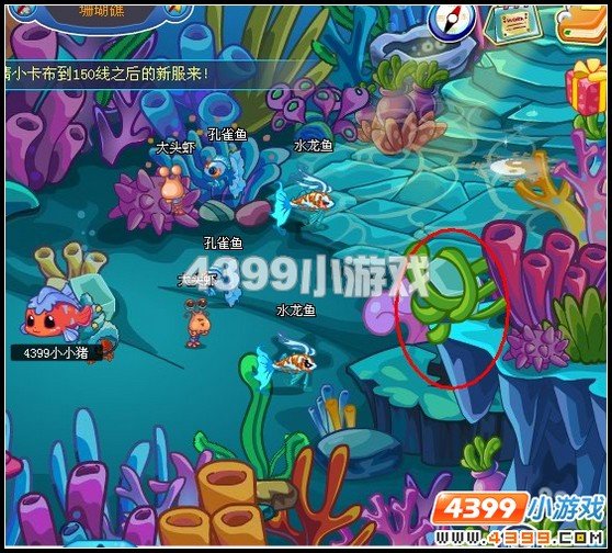 卡布西游里的小银鱼怎么抓