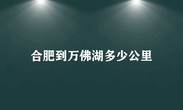 合肥到万佛湖多少公里