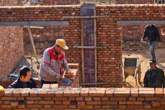 屋下盖屋比喻什么动物