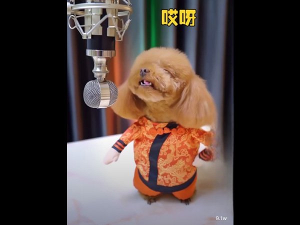 哎呀刺挠啊什么歌，说不上哪闹心扒拉歌曲介绍