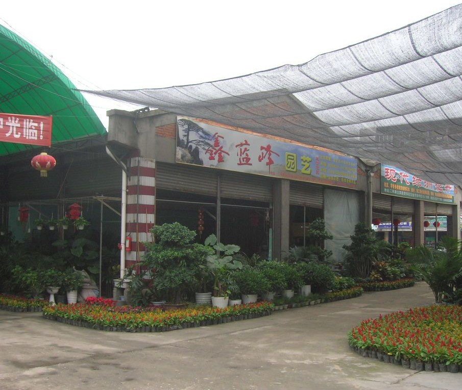 成都哪里有卖宠物的？