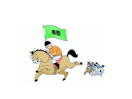 人寿保险有什么作用