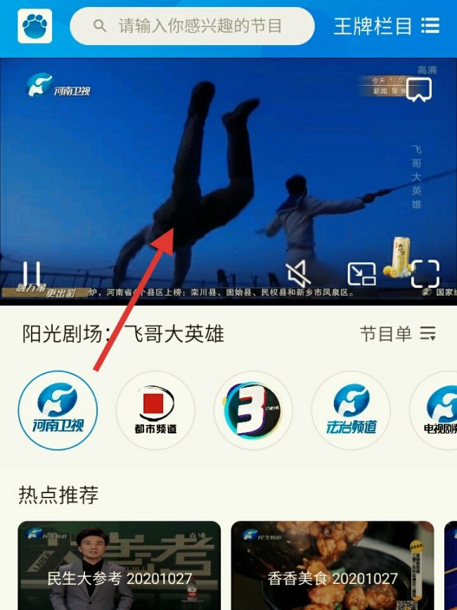 河南卫视直播在哪里看呢？