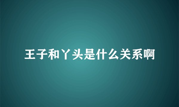 王子和丫头是什么关系啊