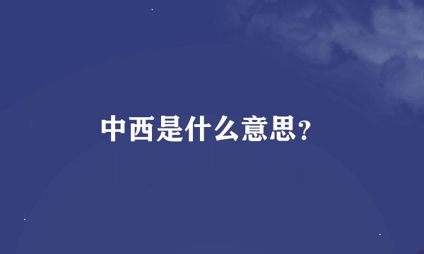 中西是什么意思？