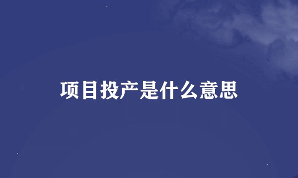 项目投产是什么意思