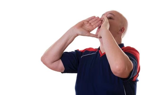 昂首大叫什么意思