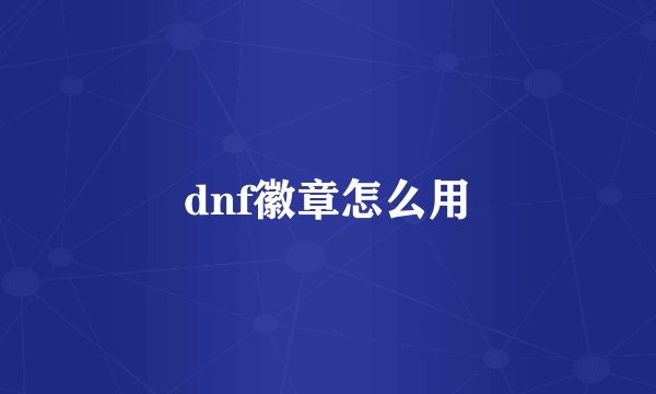 dnf徽章怎么用