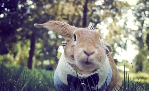 什么动物惊不择路