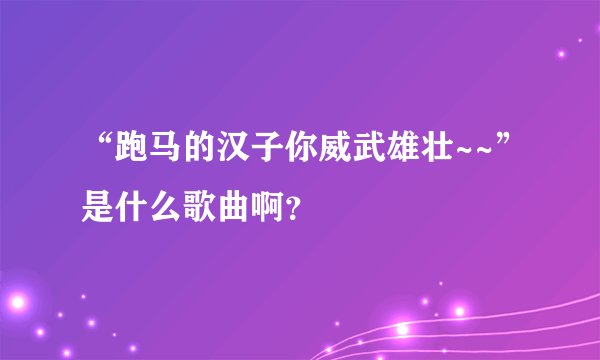 “跑马的汉子你威武雄壮~~”是什么歌曲啊？