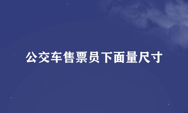 公交车售票员下面量尺寸