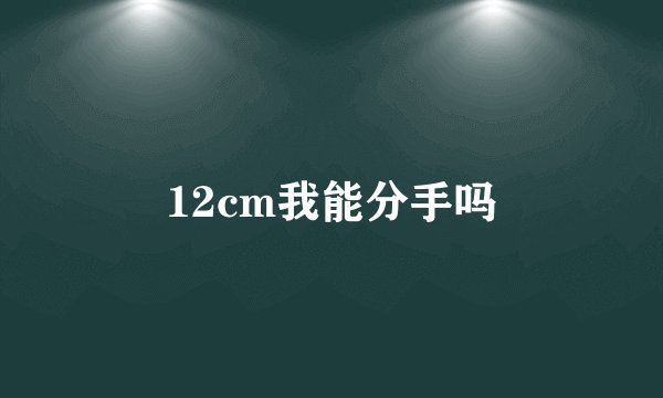 12cm我能分手吗