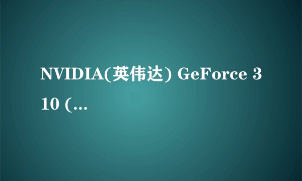 NVIDIA(英伟达) GeForce 310 (GT218)可以玩大冲锋吗?