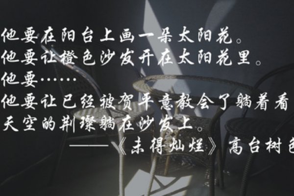 未得灿烂小说讲了什么