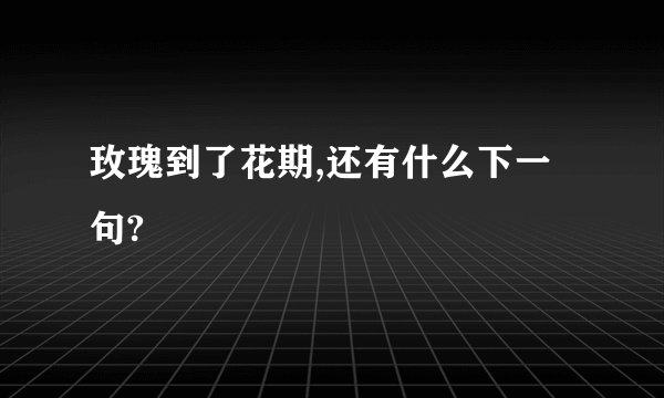 玫瑰到了花期,还有什么下一句?