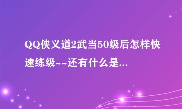 QQ侠义道2武当50级后怎样快速练级~~还有什么是跑环任务？
