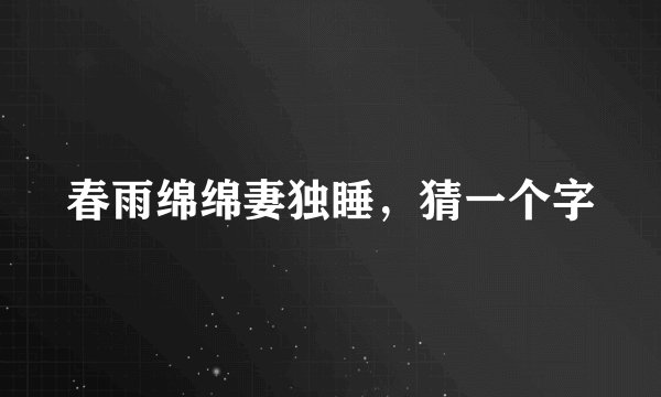 春雨绵绵妻独睡，猜一个字