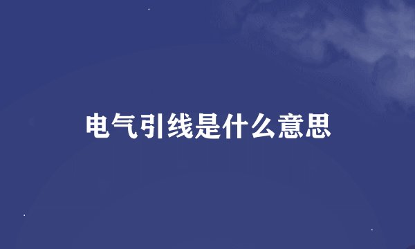 电气引线是什么意思