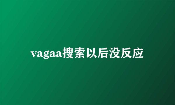 vagaa搜索以后没反应