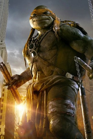 关于《忍者神龟》的名字有哪些?