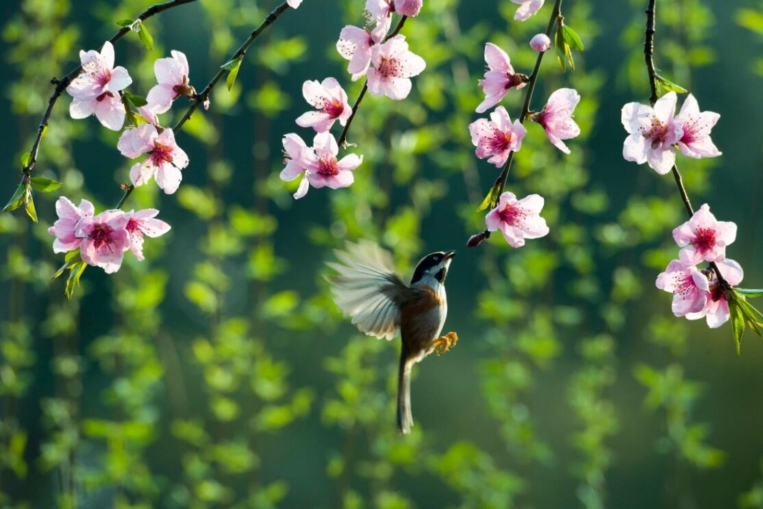 春分的气候特点