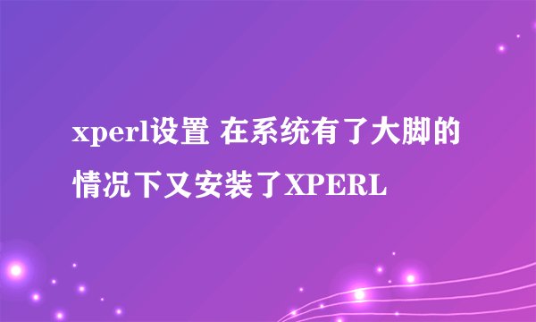 xperl设置 在系统有了大脚的情况下又安装了XPERL