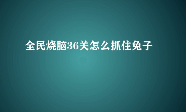 全民烧脑36关怎么抓住兔子