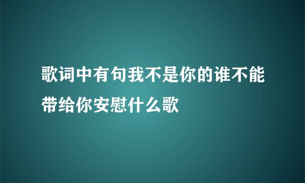 歌词中有句我不是你的谁不能带给你安慰什么歌