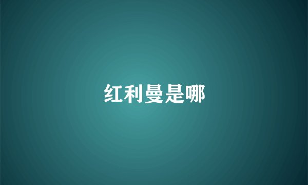 红利曼是哪