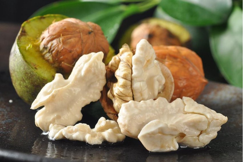 衍生物是什么意思